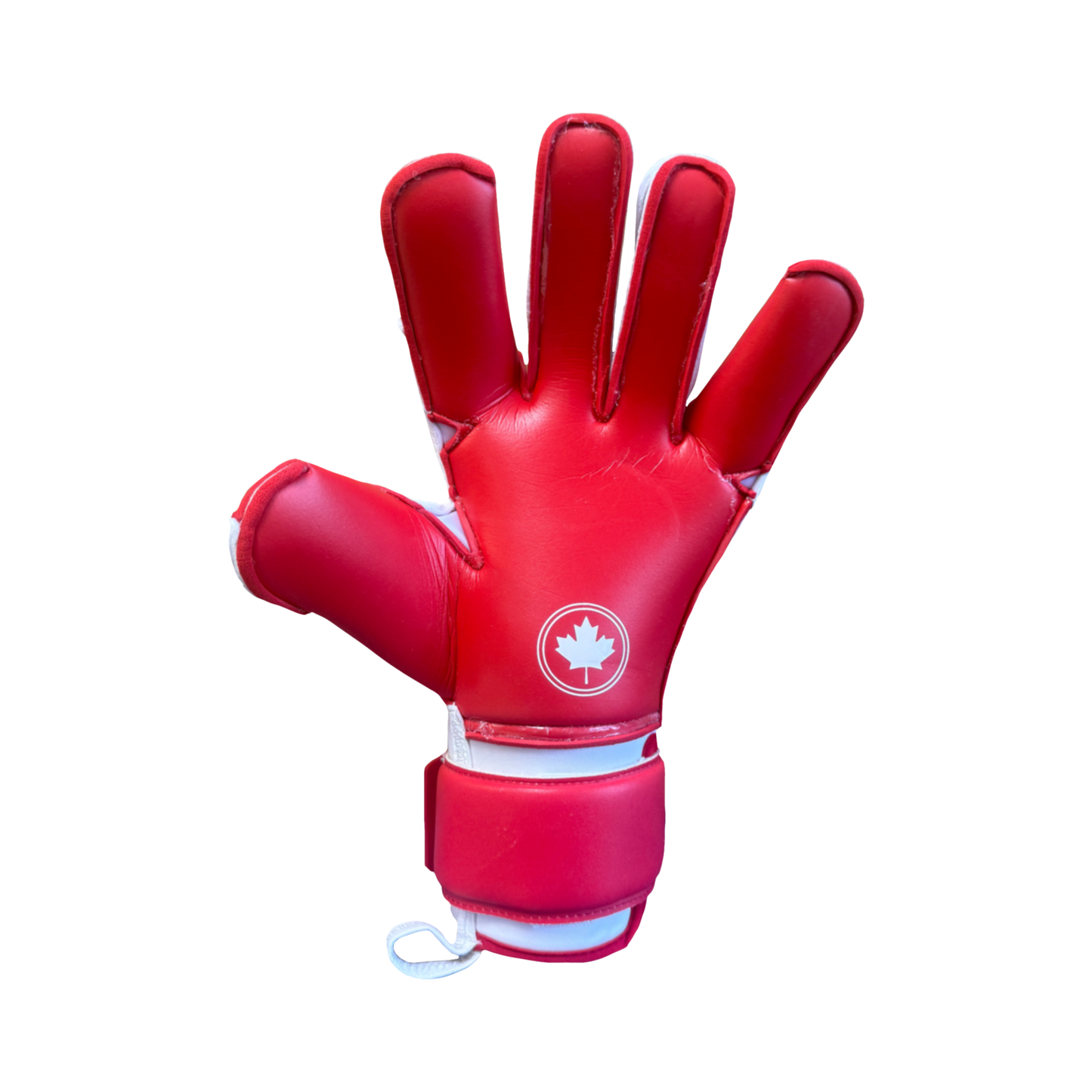 G-Force WC CAN (Pre-Order)