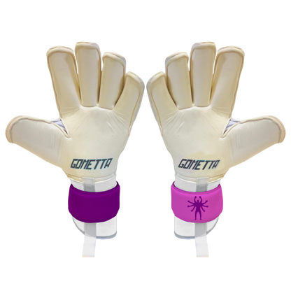 BeGometta G-Alpha CPGKT RC